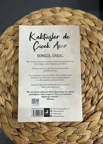 Kaktüsler de Çiçek Açar - Songül Ünsal - Görsel 2