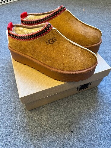 Ugg tazz ithal
