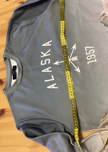 Gri Baskılı Erkek Spor Sweatshirt