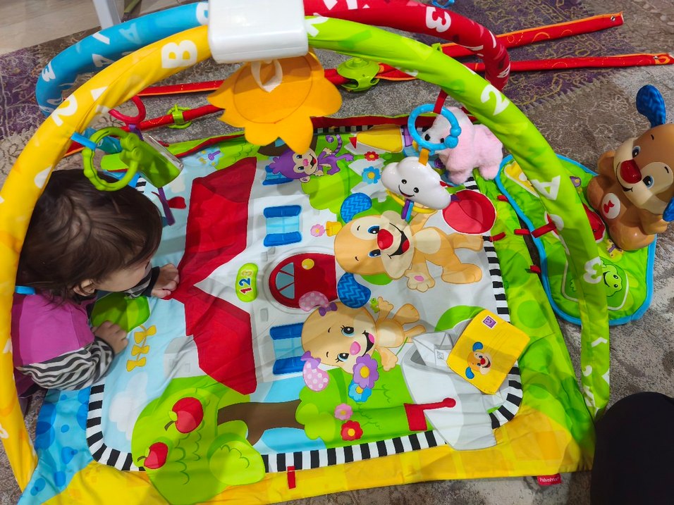 fisher Price köpekcik ve arkadaşları Oyun Matı - Görsel 2