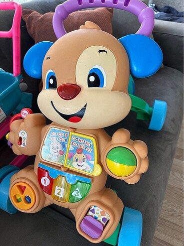 Beden çeşitli Renk Fisher Price Eğitici Köpekçik Yürüteç