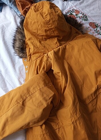 Hardal rengi mont - Görsel 3