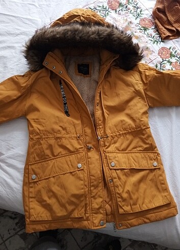 Hardal rengi mont - Görsel 12