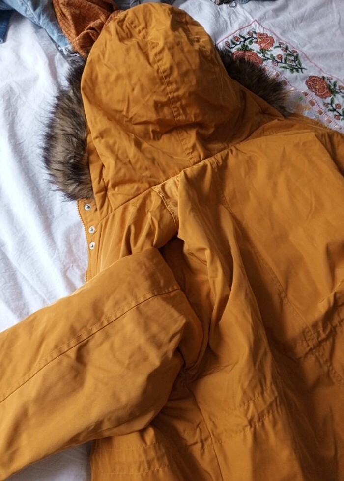 Hardal rengi mont - Görsel 3