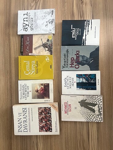 Kitaplığımı da boşaltıyorum 47 kitap - Görsel 4
