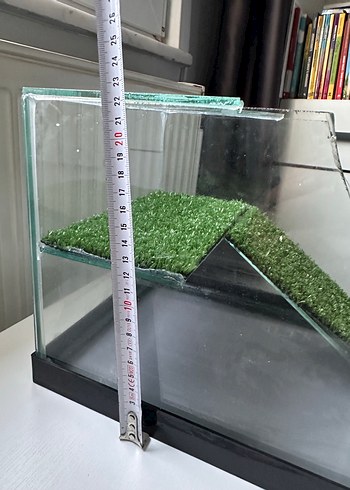 Kaplumbağa akvaryum - Görsel 6