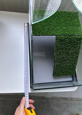 Kaplumbağa akvaryum - Görsel 8