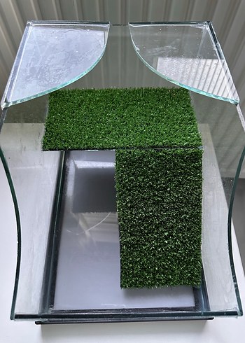 Kaplumbağa akvaryum - Görsel 7