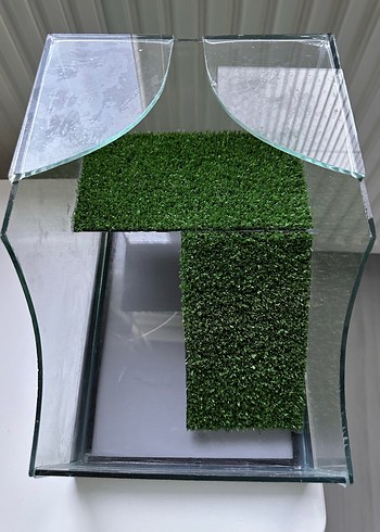 Kaplumbağa akvaryum - Görsel 2