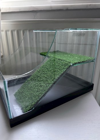 Kaplumbağa akvaryum - Görsel 3