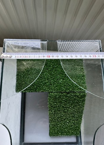 Kaplumbağa akvaryum - Görsel 5