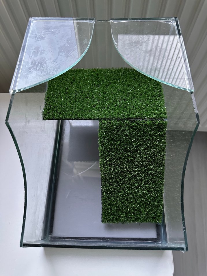 Kaplumbağa akvaryum - Görsel 2