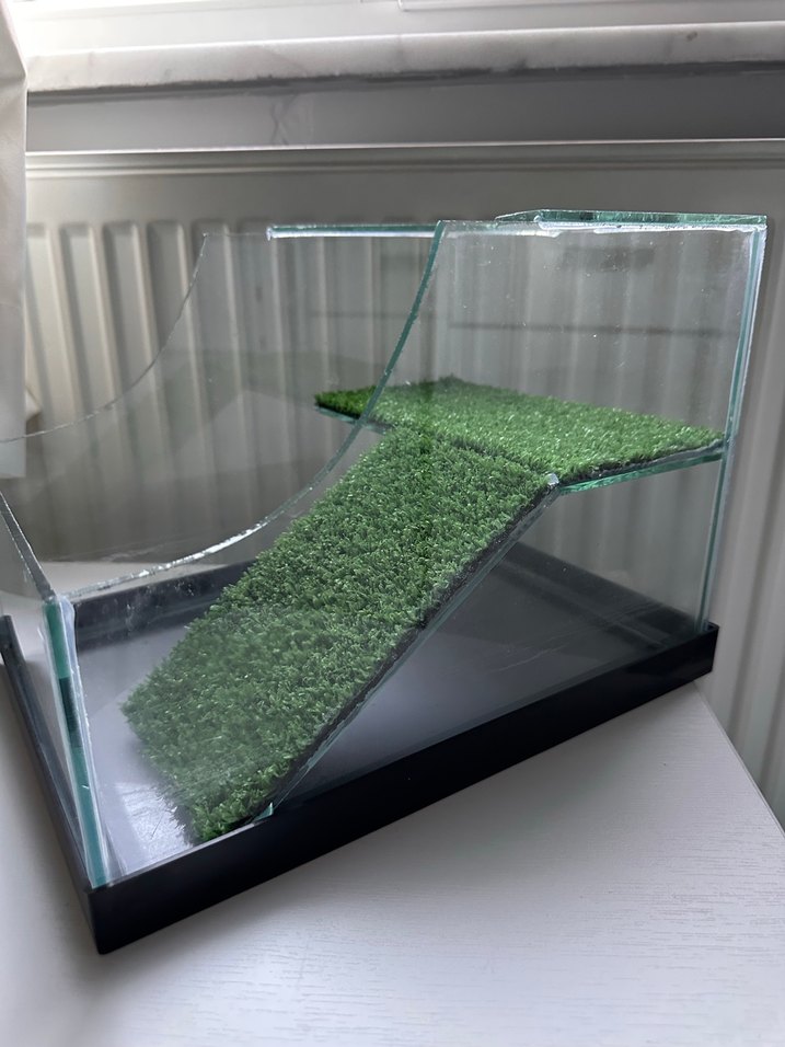 Kaplumbağa akvaryum - Görsel 3