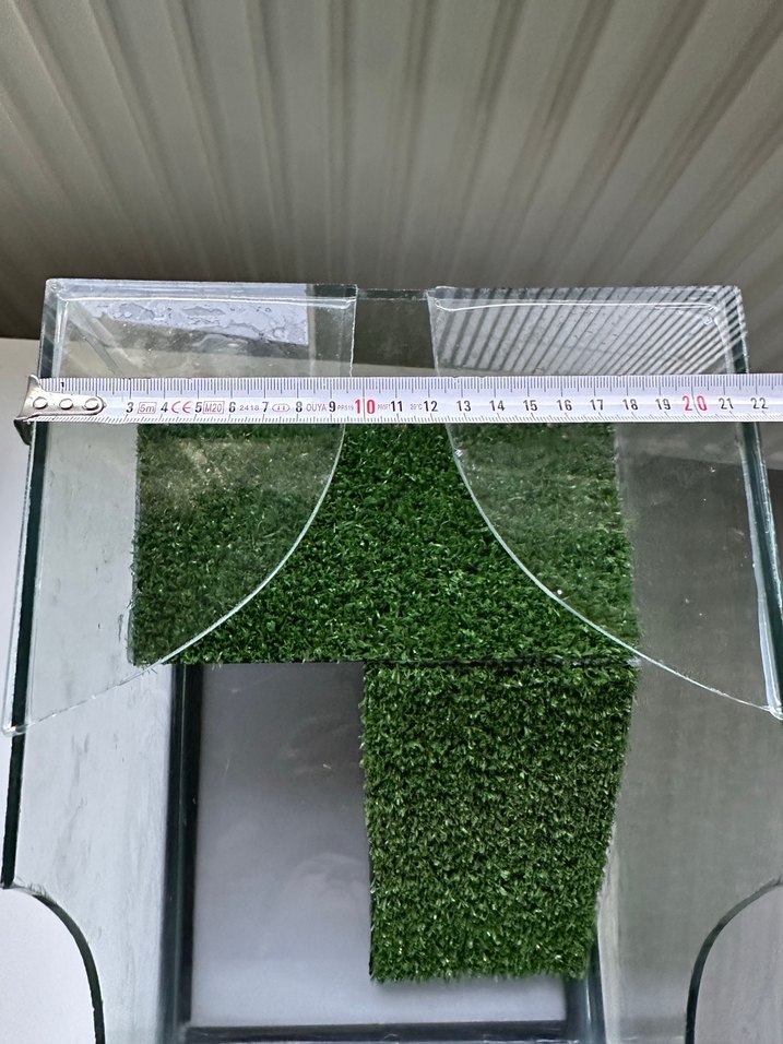 Kaplumbağa akvaryum - Görsel 5