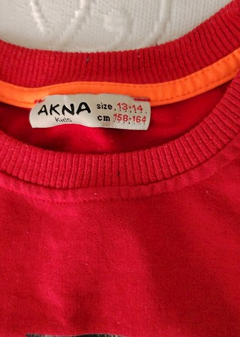 bisiklet yakalı sivit - Görsel 2