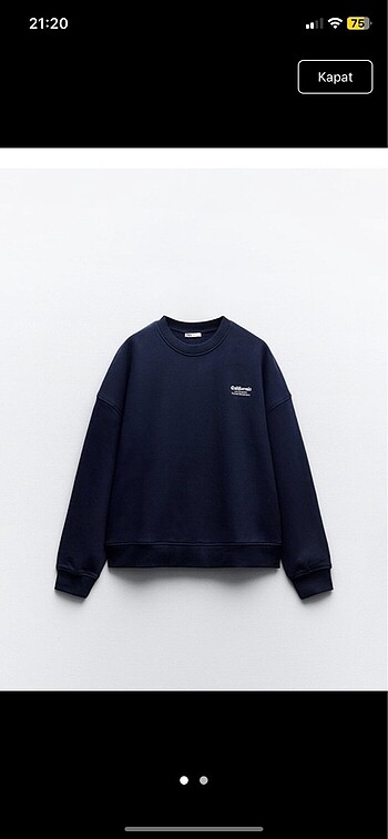 zara sweatshirt