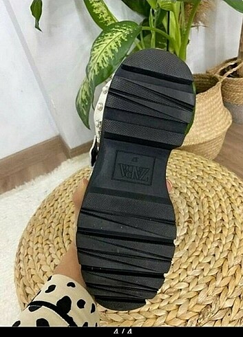 ZARA BOT