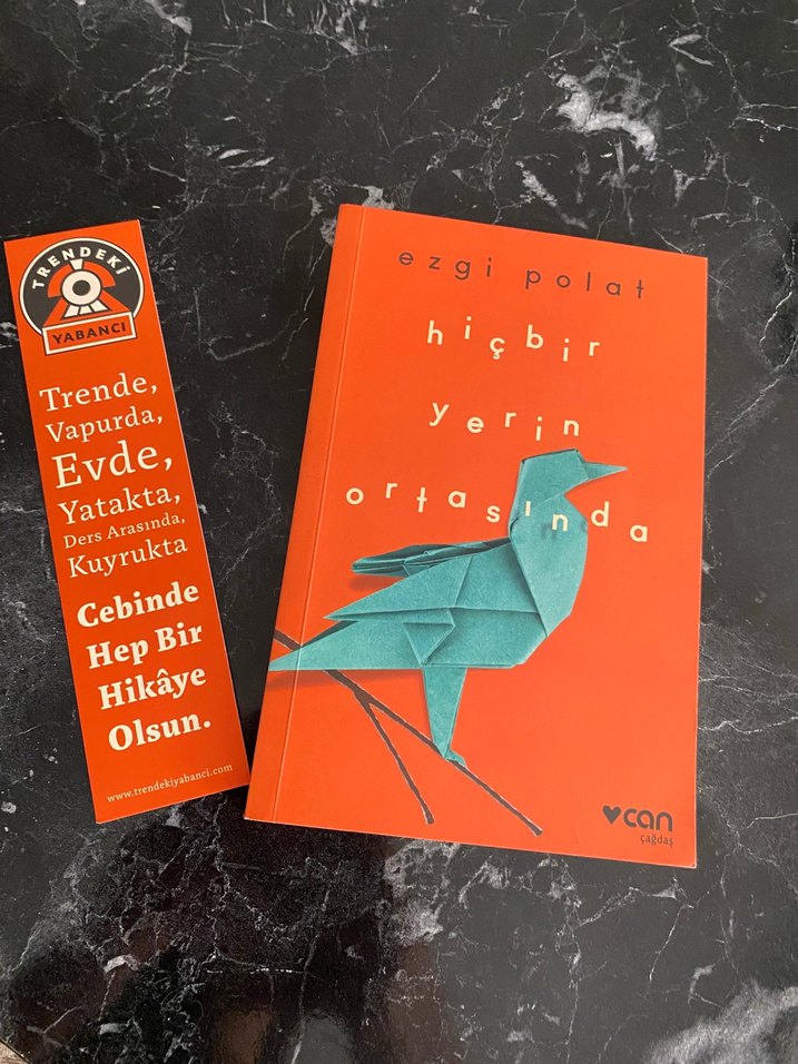 Hiçbir Yerin Ortasında - Ezgi Polat - Görsel 3