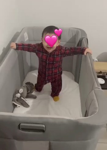 Gri Chicco Bebek Beşiği - Görsel 4