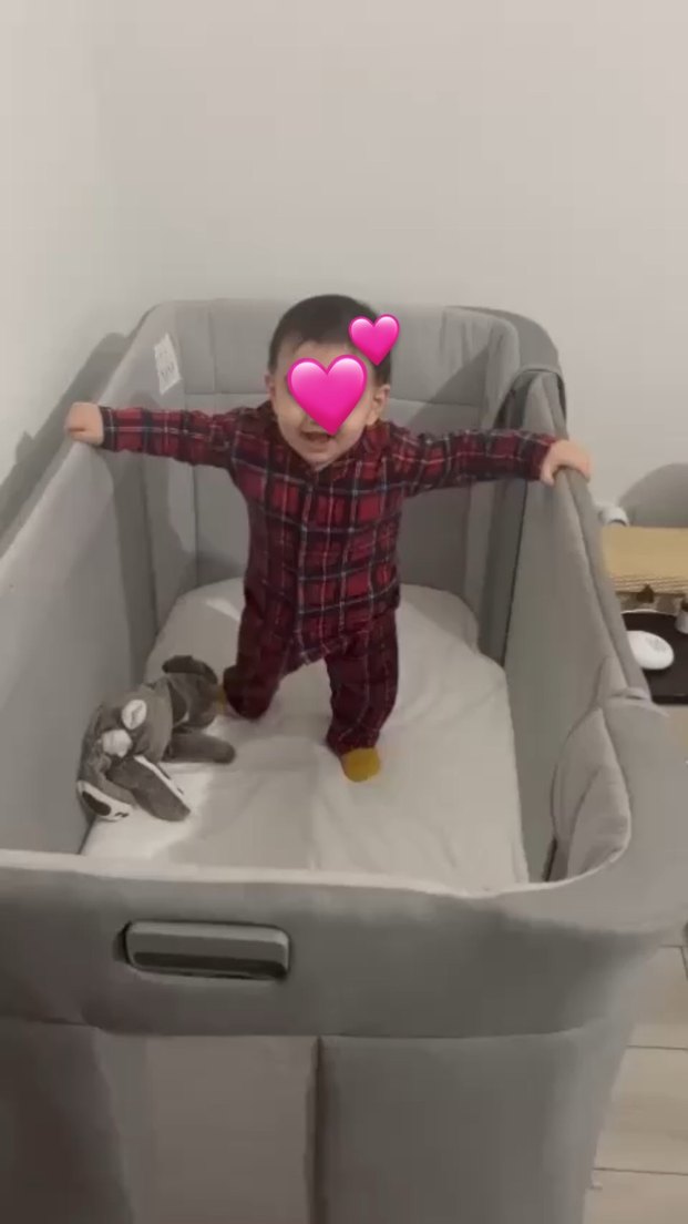 Gri Chicco Bebek Beşiği - Görsel 4