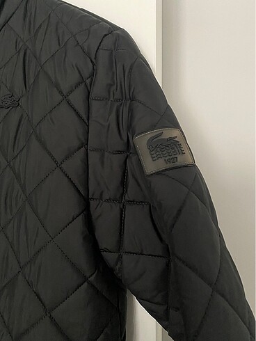 Lacoste Lacoste erkek mont