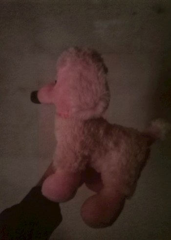 Peluş  Oyuncak - Görsel 4