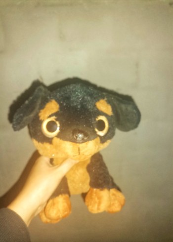 Peluş  Oyuncak - Görsel 2