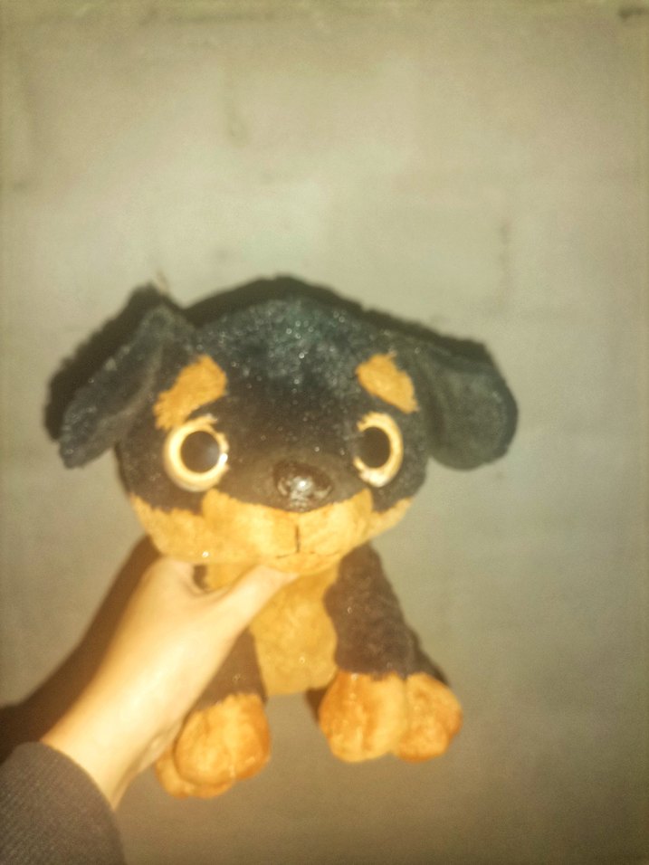 Peluş  Oyuncak - Görsel 2