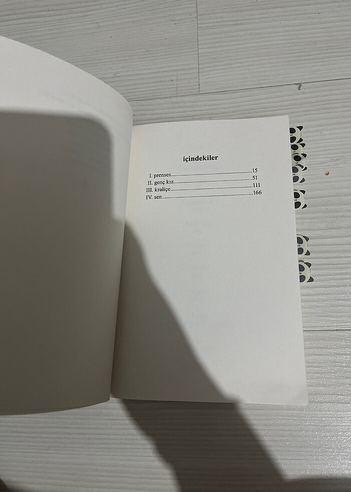 bu defa prenses kendini kurtarıyor - Görsel 2