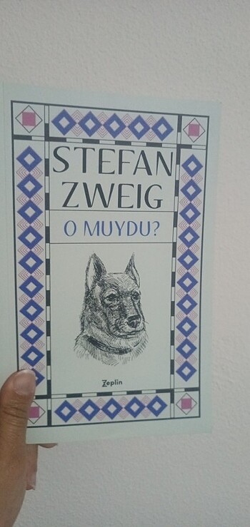 Stefan zweig- O muydu? Kitabı