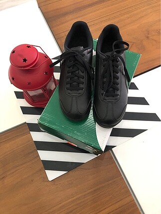 Puma roma