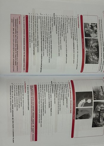 Ağız, Diş ve Çene Radyolojisi Dusdata Şampiyonların Notu - Görsel 2