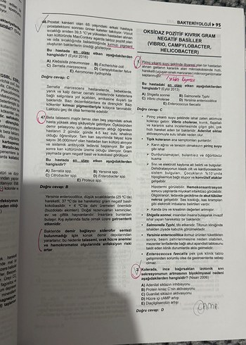 Tüm TUS Soruları Mikrobiyoloji - Görsel 2