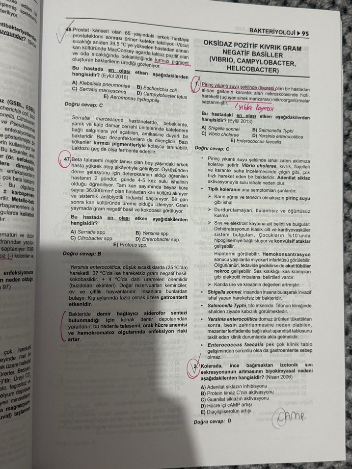 Tüm TUS Soruları Mikrobiyoloji - Görsel 2