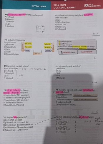 2025 Ekim TEMEL Soru Kampı DUS AKADEMİSİ - Görsel 2