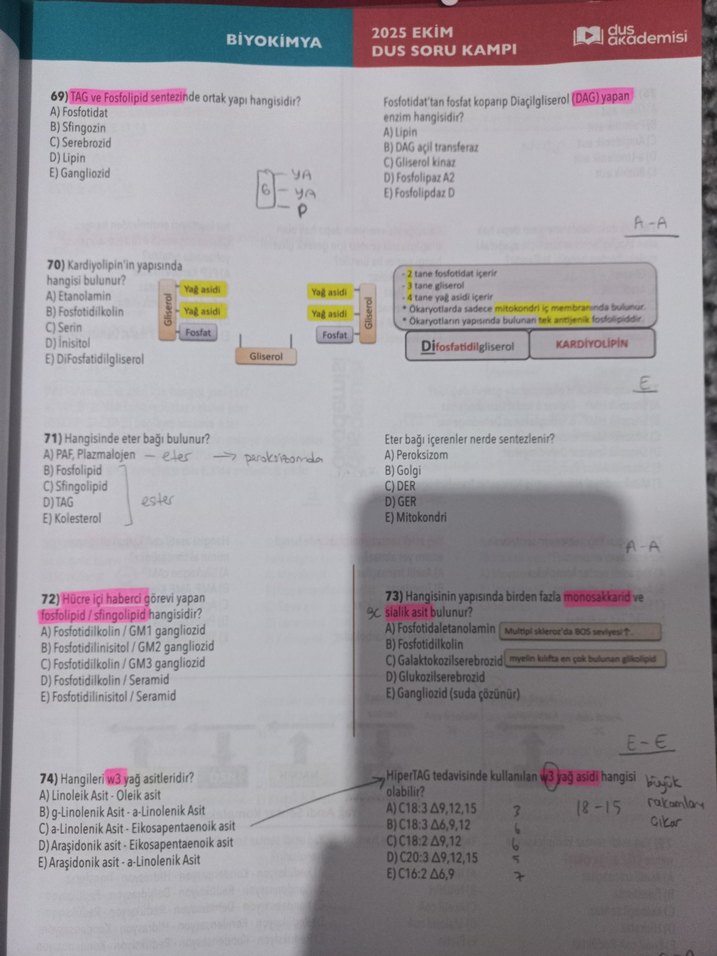 2025 Ekim TEMEL Soru Kampı DUS AKADEMİSİ - Görsel 2