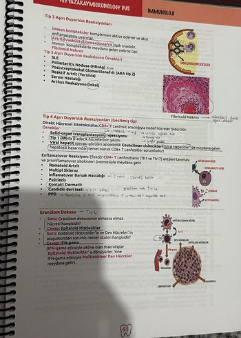Feyyaz Akay Mikrobiyoloji Ders Kitapları Seti - Görsel 2
