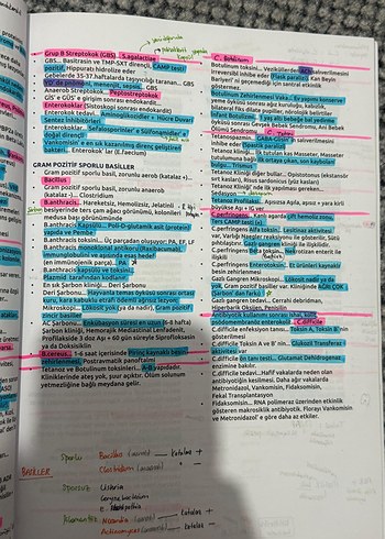 Feyyaz Akay Mikrobiyoloji Ders Kitapları Seti - Görsel 4