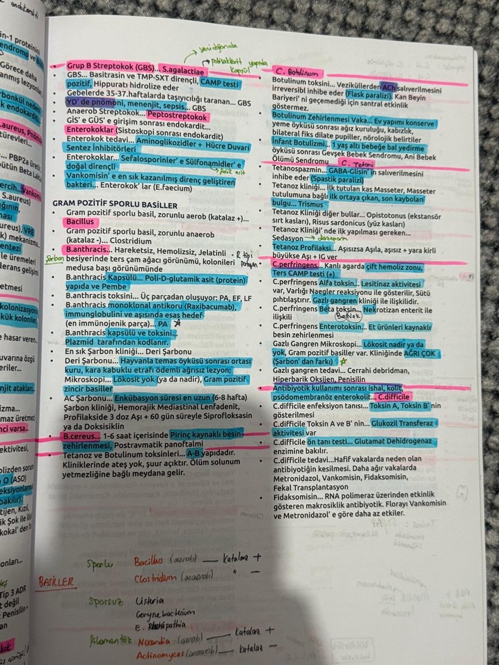 Feyyaz Akay Mikrobiyoloji Ders Kitapları Seti - Görsel 4