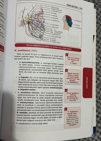 DUS Akademi Serisi Anatomi Kitabı DUSDATA - Görsel 2