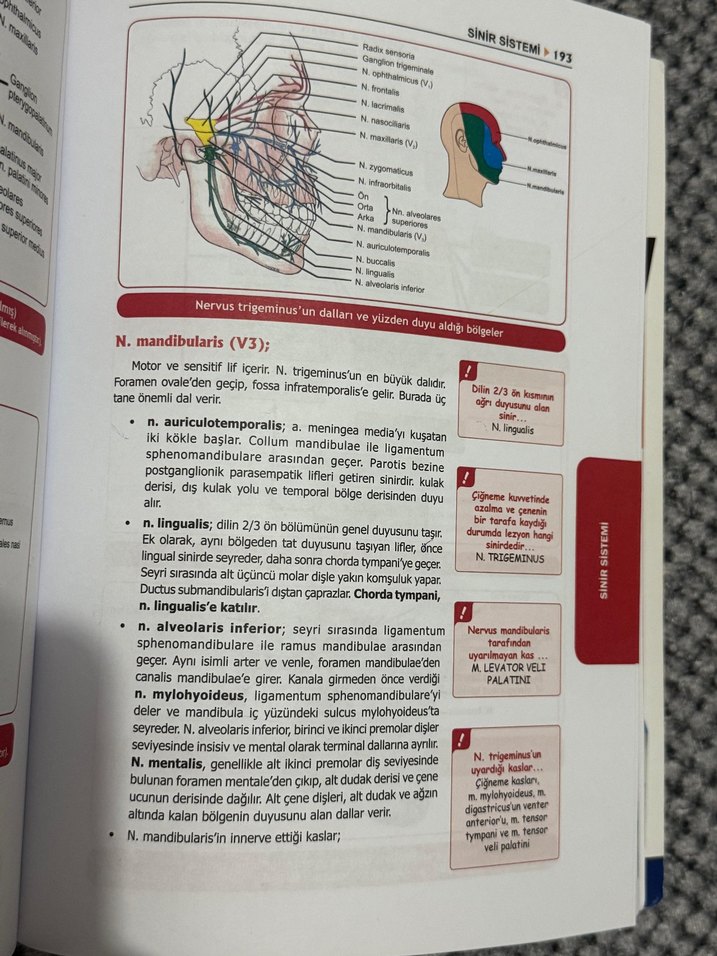 DUS Akademi Serisi Anatomi Kitabı DUSDATA - Görsel 2