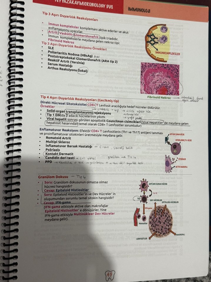 Feyyaz Akay Mikrobiyoloji Konu Kitabı - Görsel 2