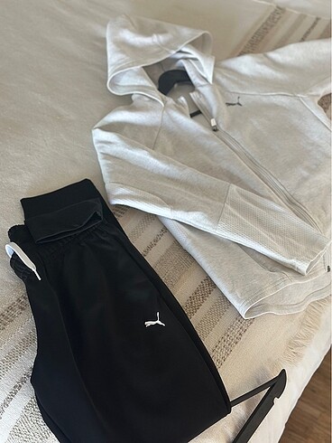 Puma takım