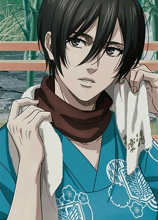 Mikasa Peruk
