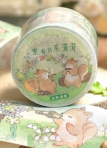  Beden Renk Washi tape