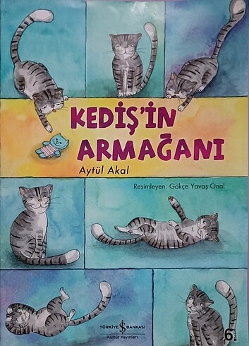 Kediş'in Armağanı - Aytül Akal