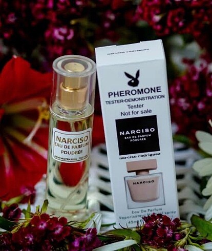 Narciso Rodriguez Poudree