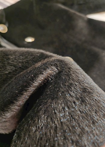 Siyah Uzun Tay tüyü Kadın Kaban - Görsel 11