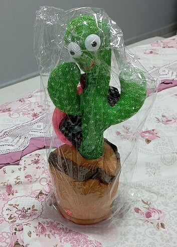 Kaktüs 