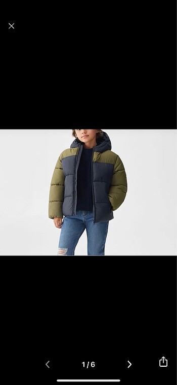 Mango polar mont